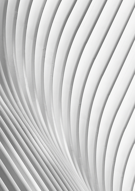 Calatrava Lines / PLATINA