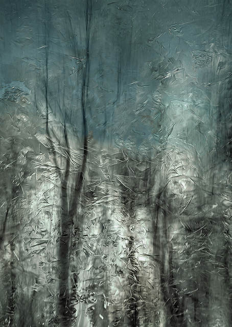 Frozen frost wood / PLATINA