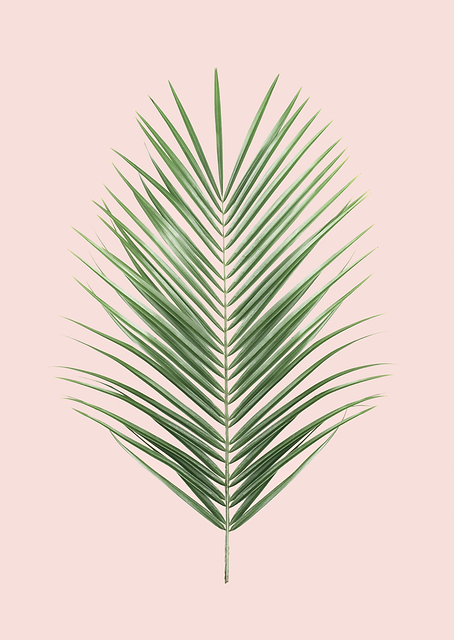 Palm Leaf Blush / PLATINA