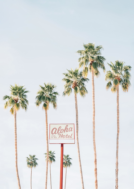 Aloha Hotel / PLATINA