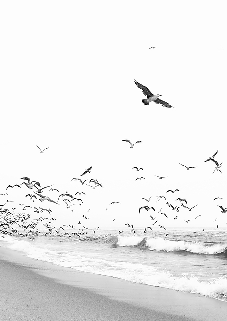 Seascape BW / PLATINA