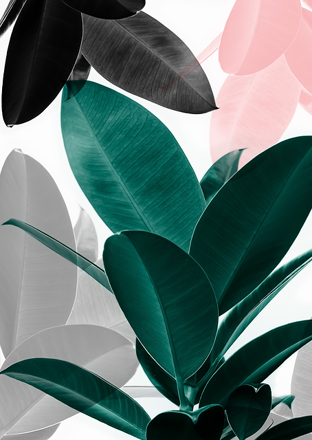 Leaf Play / PLATINA