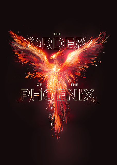 The Order of the Phoenix / PLATINA