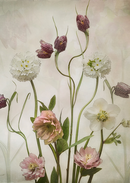 Spring Garden / PLATINA