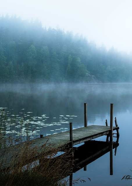 Moody morning / PLATINA