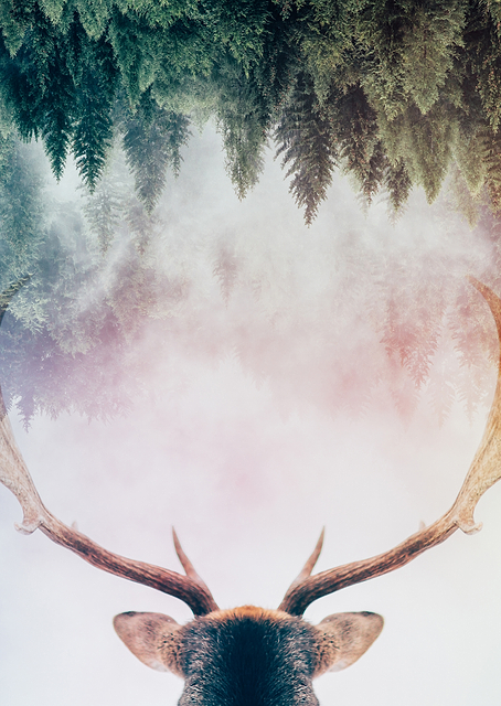 Antler / PLATINA