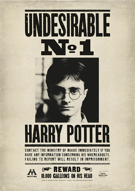 Undesirable No 1 / PLATINA