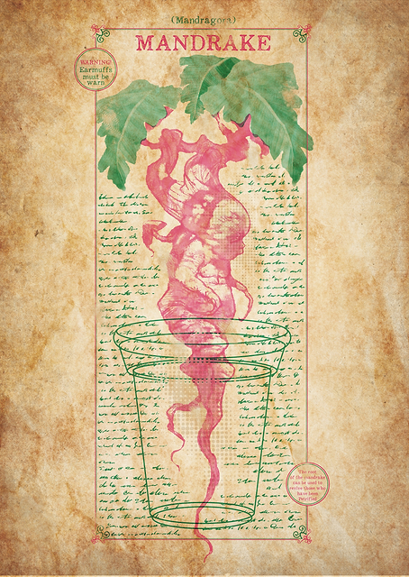 Mandrake Chart / PLATINA