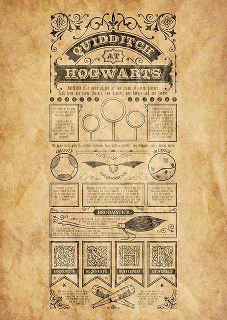 Quidditch Hogwarts Rules / PLATINA