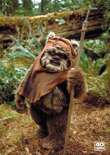 Ewok 1 / PLATINA