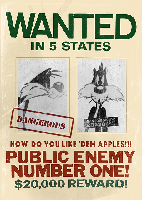 Public Enemy Number One! / PLATINA