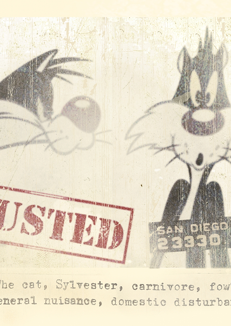 Domestic Disturbance / PLATINA