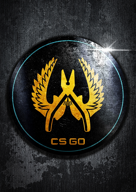 Guardian Elite Pin / PLATINA