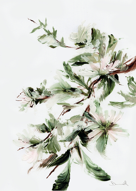 Bloom / PLATINA