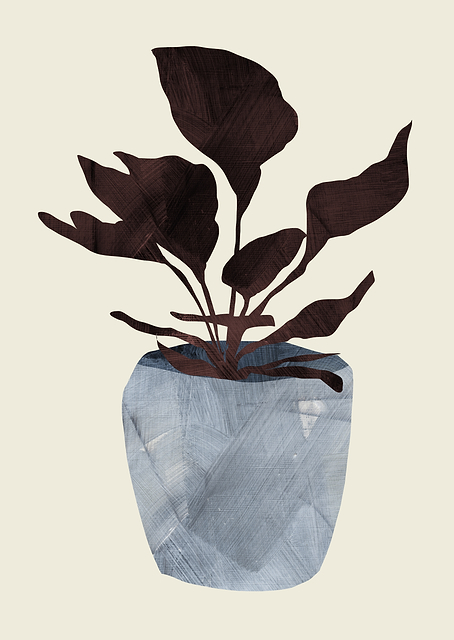 Country Plant / PLATINA