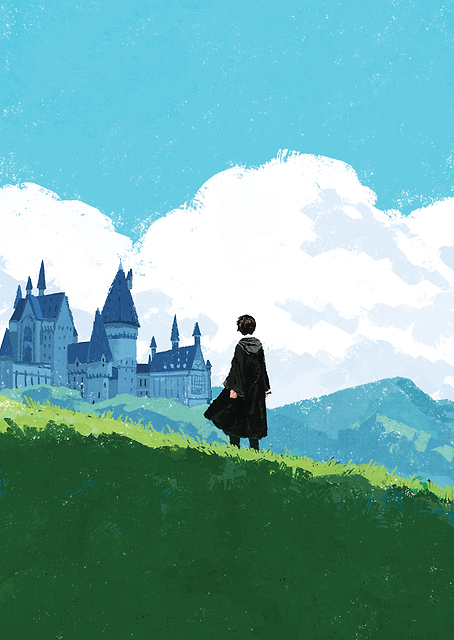 Harry and Hogwarts / PLATINA
