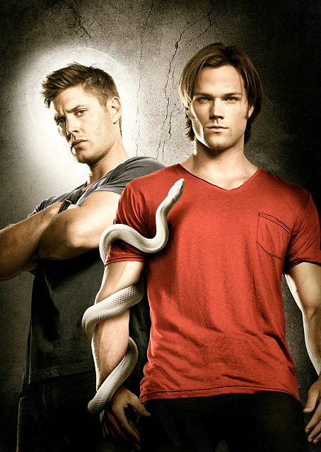 Supernatural Season 6 / PLATINA