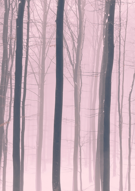 Winter Haze / PLATINA