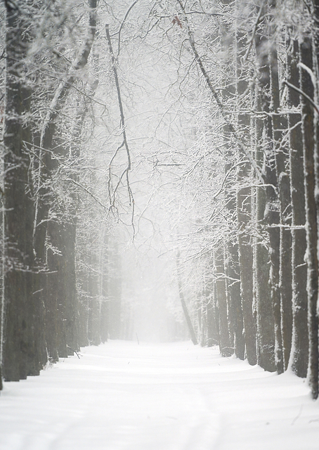 Path into unknown / PLATINA