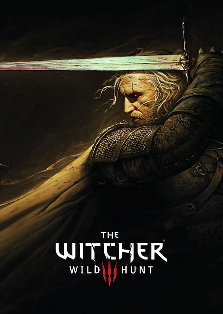 Witcher Horizontal Logo / PLATINA