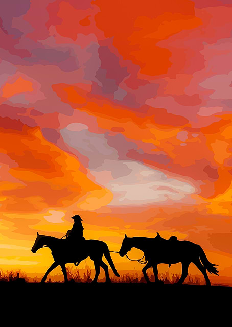 Red Dead Redemption / platina