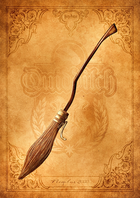 Nimbus 2000 / PLATINA