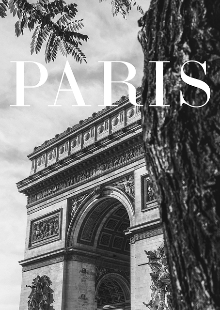 Paris Triumphal Arch / PLATINA