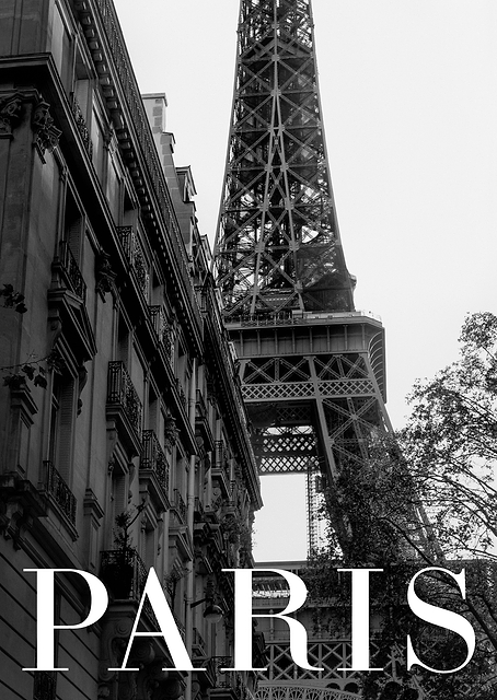Paris / PLATINA