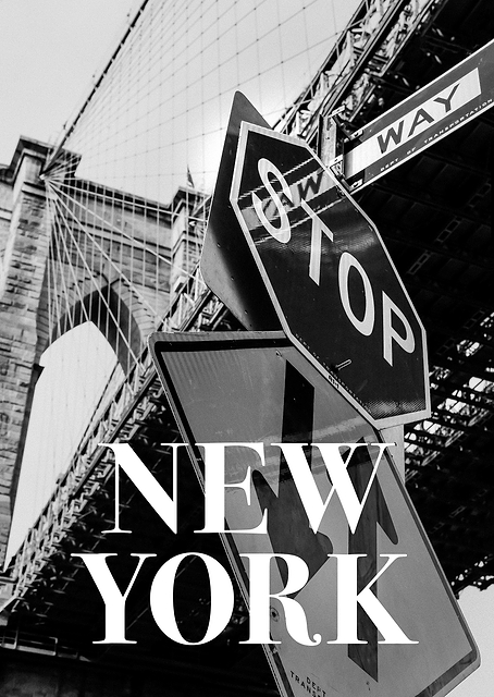 NYC Brooklyn Bridge / PLATINA