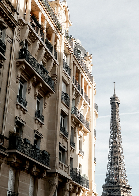 Eiffel Tower / PLATINA