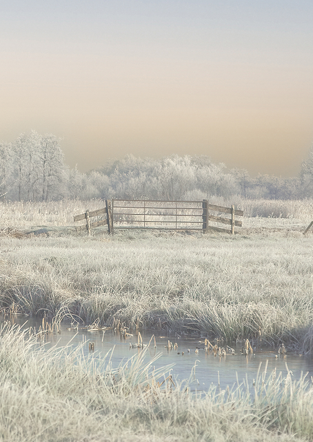 Winter in the Wieden / PLATINA