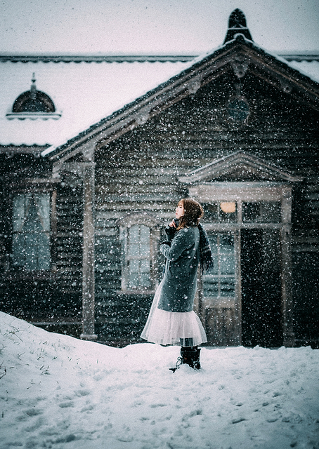 Snow Day / PLATINA