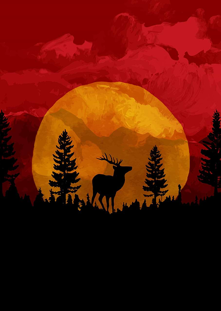 Red Dead Redemption / platina