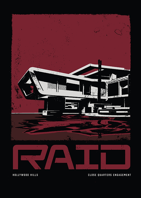 Raid 2 / PLATINA