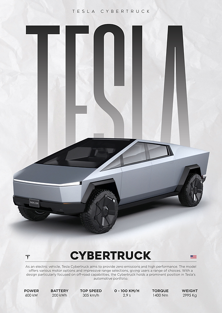Tesla Cybertruck / PLATINA