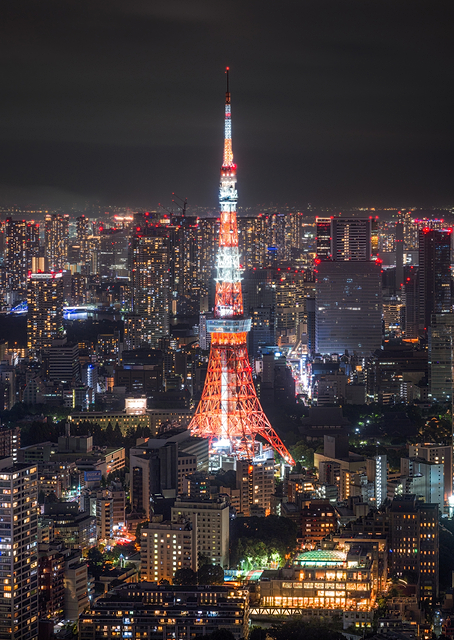 City of Tokyo / PLATINA