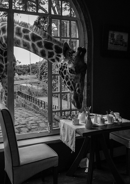 Breakfast time / PLATINA