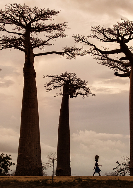 Madagascar / PLATINA