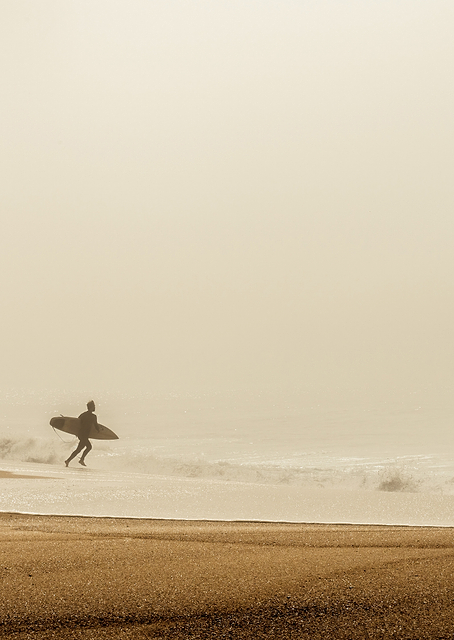 Surfer / PLATINA