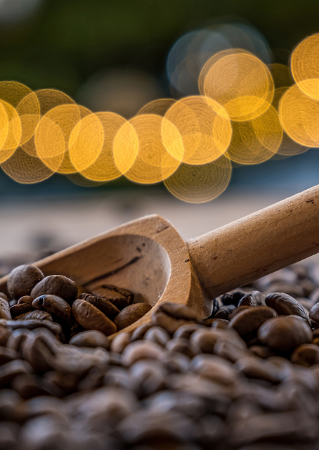 Coffee beans / PLATINA