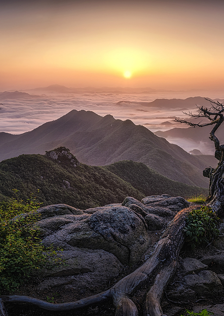 Sunrise on Top / PLATINA