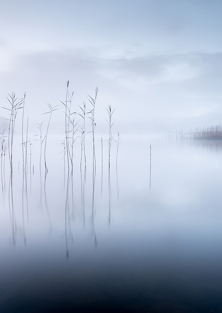 Untitled / PLATINA