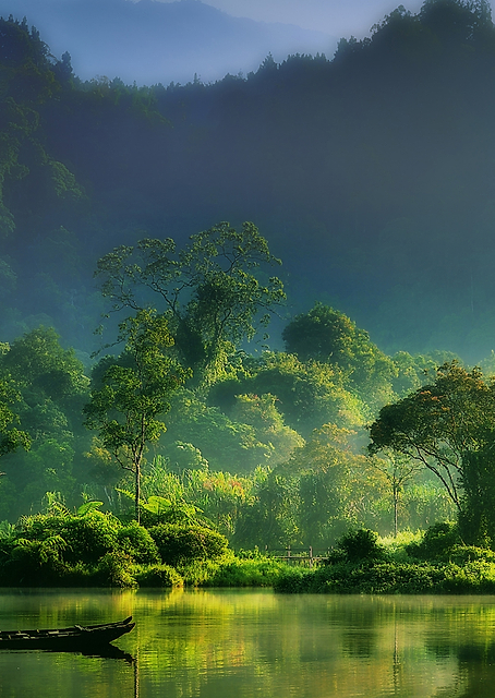 Painting of Nature / PLATINA