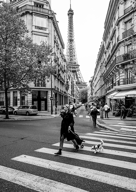 Walking the dog / PLATINA