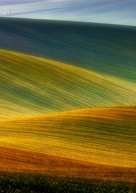 Spring fields / PLATINA