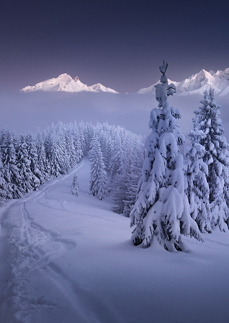 In the Winter / PLATINA