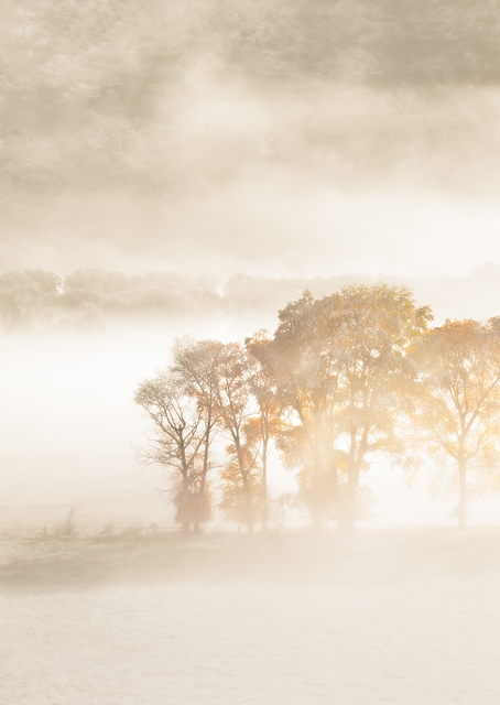 Autumn Dreams / PLATINA