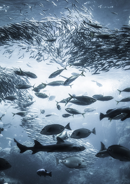 Underwater exploration / PLATINA