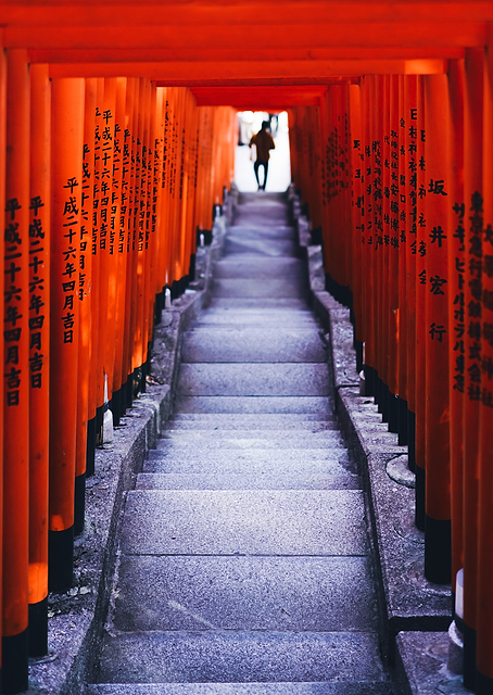 Tokyo 2020 / PLATINA