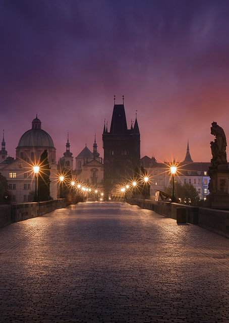 Saint Charles bridge / PLATINA